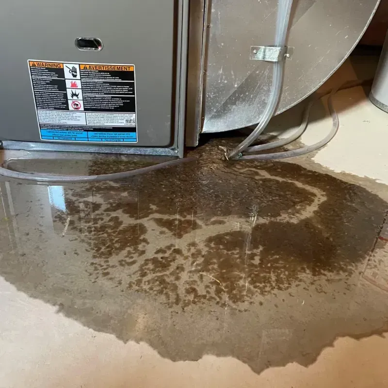 Appliance Leak Cleanup in Grand Island, NY